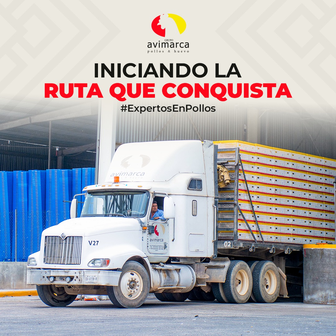 Portada Grupo Avimarca